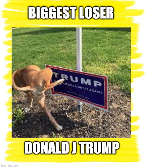 Loser | BIGGEST LOSER; DONALD J TRUMP | image tagged in donald trump,funny,loser,golden showers,liar,politics | made w/ Imgflip meme maker