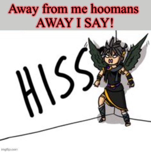 Away from me hoomans 
AWAY I SAY! | made w/ Imgflip meme maker