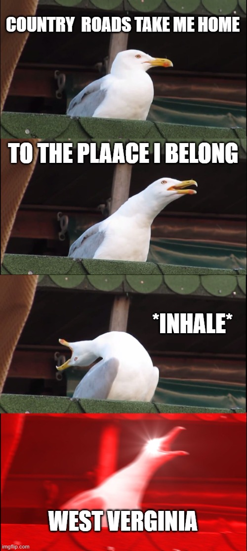 WEST VERGINIAAAAA | COUNTRY  ROADS TAKE ME HOME; TO THE PLAACE I BELONG; *INHALE*; WEST VERGINIA | image tagged in memes,inhaling seagull | made w/ Imgflip meme maker
