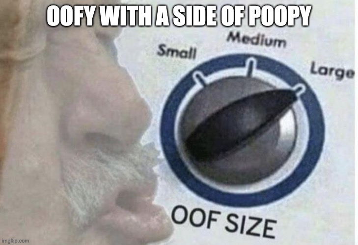 OOFY WITH A SIDE OF POOPY | image tagged in oof size large | made w/ Imgflip meme maker