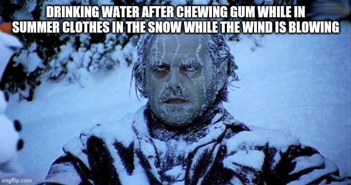 Freezing cold | DRINKING WATER AFTER CHEWING GUM WHILE IN SUMMER CLOTHES IN THE SNOW WHILE THE WIND IS BLOWING | image tagged in freezing cold | made w/ Imgflip meme maker