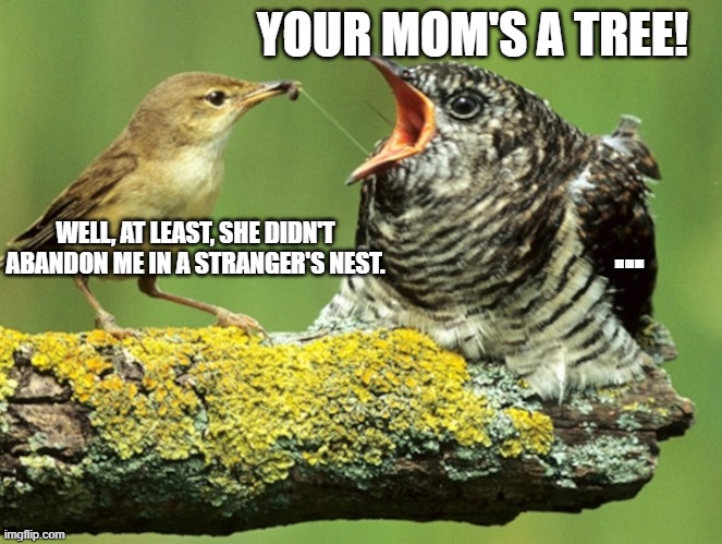 Insulting cuckoo | YOUR MOM'S A TREE! ... WELL, AT LEAST, SHE DIDN'T ABANDON ME IN A STRANGER'S NEST. | image tagged in cuckoo,birb,birds | made w/ Imgflip meme maker