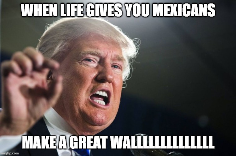 donald trump |  WHEN LIFE GIVES YOU MEXICANS; MAKE A GREAT WALLLLLLLLLLLLLL | image tagged in donald trump | made w/ Imgflip meme maker