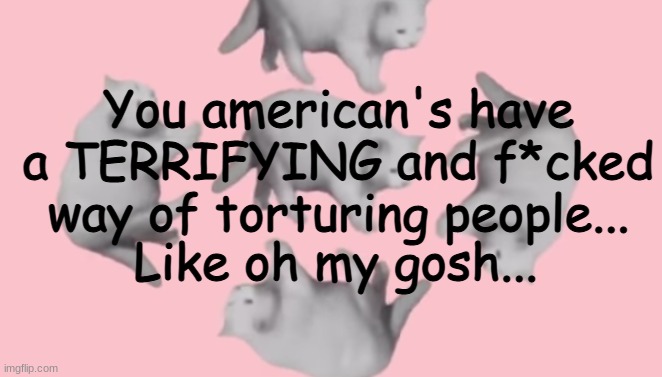 Wtf... | You american's have a TERRIFYING and f*cked way of torturing people... Like oh my gosh... | image tagged in he | made w/ Imgflip meme maker