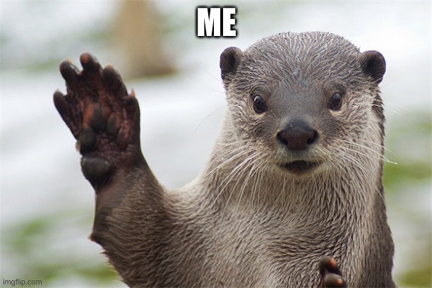 Welcome Back, Otter. | ME | image tagged in welcome back otter | made w/ Imgflip meme maker