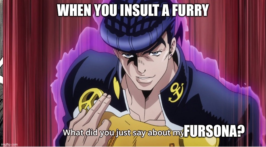 Yeah... | WHEN YOU INSULT A FURRY; FURSONA? | image tagged in what did you just say about my hair | made w/ Imgflip meme maker