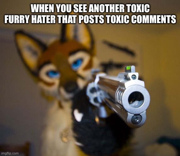 Anger | WHEN YOU SEE ANOTHER TOXIC FURRY HATER THAT POSTS TOXIC COMMENTS | image tagged in furry with gun,furry | made w/ Imgflip meme maker