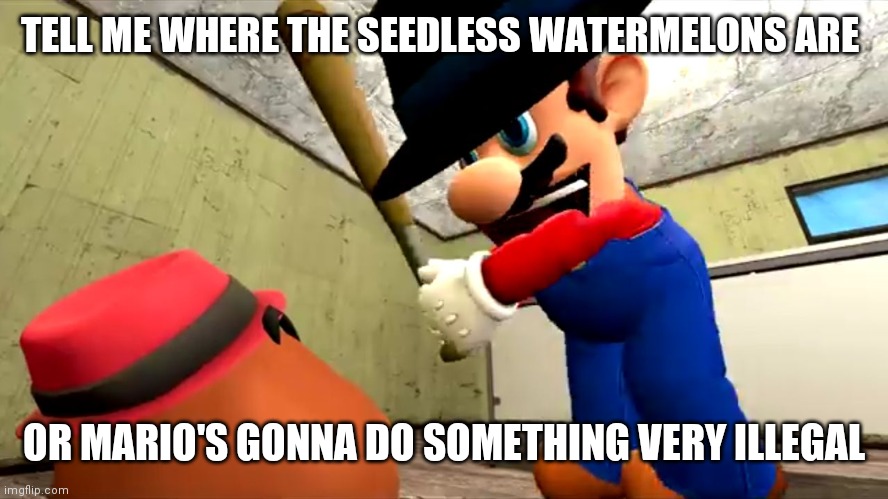 Or Mario's gonna do something very illegal | TELL ME WHERE THE SEEDLESS WATERMELONS ARE OR MARIO'S GONNA DO SOMETHING VERY ILLEGAL | image tagged in or mario's gonna do something very illegal | made w/ Imgflip meme maker