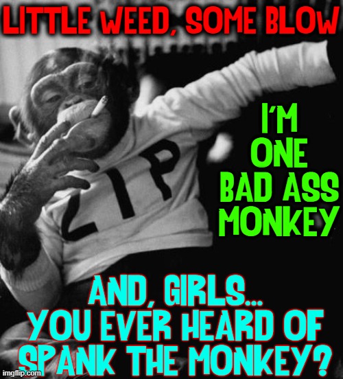 Zip let's it all hang out |  LITTLE WEED, SOME BLOW; I'M ONE BAD ASS MONKEY; AND, GIRLS... YOU EVER HEARD OF
SPANK THE MONKEY? | image tagged in vince vance,smoking monkey,weed,blow,bad ass,memes | made w/ Imgflip meme maker