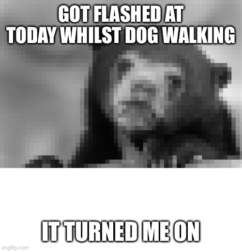 So wrong, but felt so right | GOT FLASHED AT TODAY WHILST DOG WALKING; IT TURNED ME ON | image tagged in memes,confession bear | made w/ Imgflip meme maker