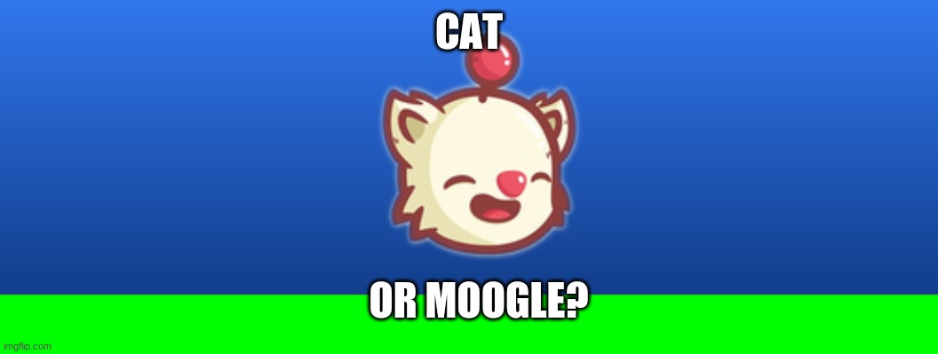 cat or moogle meme | CAT; OR MOOGLE? | image tagged in cat,moogle | made w/ Imgflip meme maker