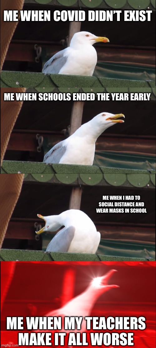 Inhaling Seagull | ME WHEN COVID DIDN’T EXIST; ME WHEN SCHOOLS ENDED THE YEAR EARLY; ME WHEN I HAD TO SOCIAL DISTANCE AND WEAR MASKS IN SCHOOL; ME WHEN MY TEACHERS MAKE IT ALL WORSE | image tagged in memes,inhaling seagull | made w/ Imgflip meme maker