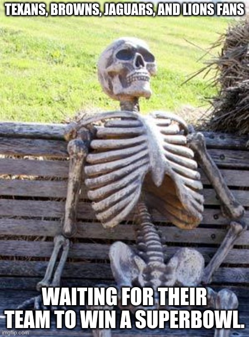 4 Nfl Teams | TEXANS, BROWNS, JAGUARS, AND LIONS FANS; WAITING FOR THEIR TEAM TO WIN A SUPERBOWL. | image tagged in memes,waiting skeleton | made w/ Imgflip meme maker