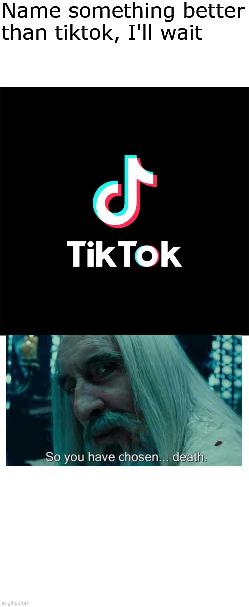 Tiktok is just counterfeit YouTube | image tagged in name something better than tiktok i'll wait | made w/ Imgflip meme maker