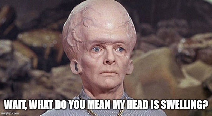 Encephalitis | WAIT, WHAT DO YOU MEAN MY HEAD IS SWELLING? | image tagged in star trek exploding head | made w/ Imgflip meme maker