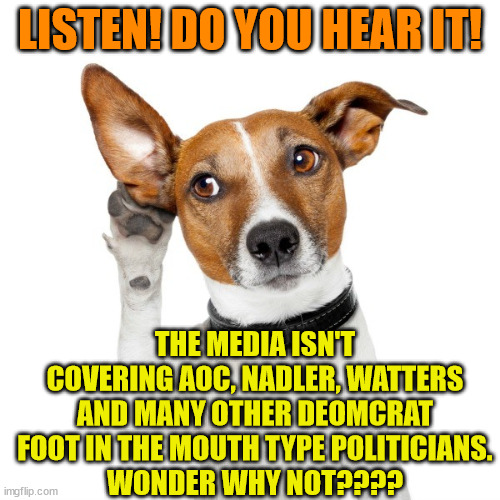 Listening dog | LISTEN! DO YOU HEAR IT! THE MEDIA ISN'T COVERING AOC, NADLER, WATTERS AND MANY OTHER DEOMCRAT FOOT IN THE MOUTH TYPE POLITICIANS.
WONDER WHY NOT???? | image tagged in listening dog | made w/ Imgflip meme maker