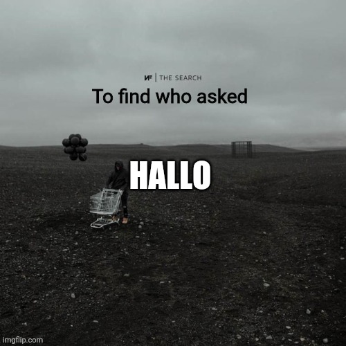 THE SEARCH To find who asked | HALLO | image tagged in the search to find who asked | made w/ Imgflip meme maker