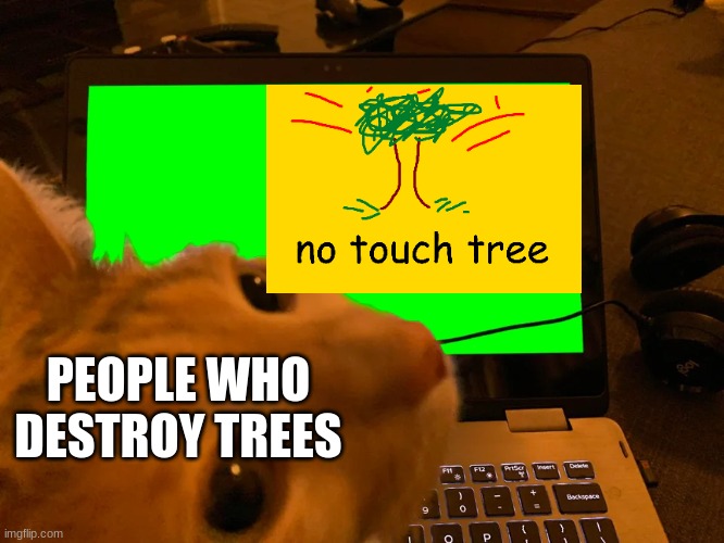 Cat in Laptop Staring at You | PEOPLE WHO DESTROY TREES | image tagged in cat in laptop staring at you,memes,flag,don't touch my tree,environment | made w/ Imgflip meme maker