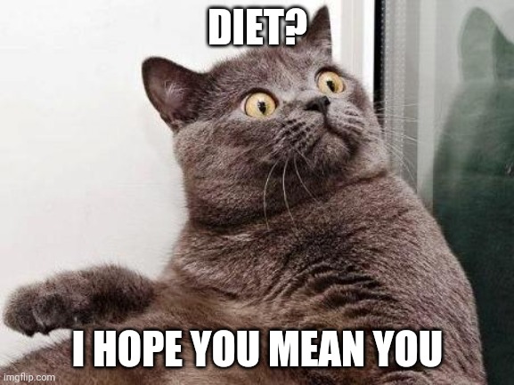 Surprised cat | DIET? I HOPE YOU MEAN YOU | image tagged in surprised cat | made w/ Imgflip meme maker
