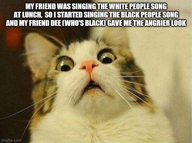 Angriest* | MY FRIEND WAS SINGING THE WHITE PEOPLE SONG AT LUNCH,  SO I STARTED SINGING THE BLACK PEOPLE SONG AND MY FRIEND DEE (WHO'S BLACK) GAVE ME THE ANGRIER LOOK | image tagged in memes,scared cat | made w/ Imgflip meme maker