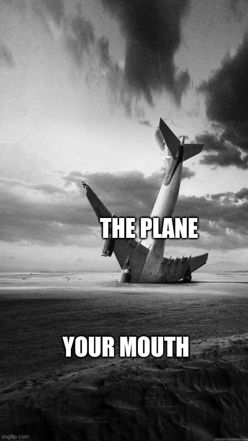 Plane crash | THE PLANE YOUR MOUTH | image tagged in plane crash | made w/ Imgflip meme maker