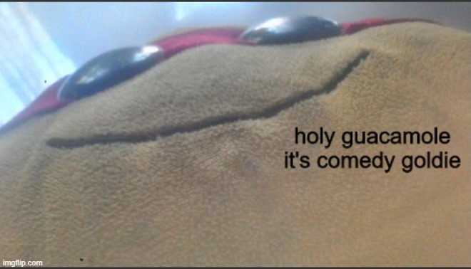 turtle holy guacamole | image tagged in turtle holy guacamole | made w/ Imgflip meme maker