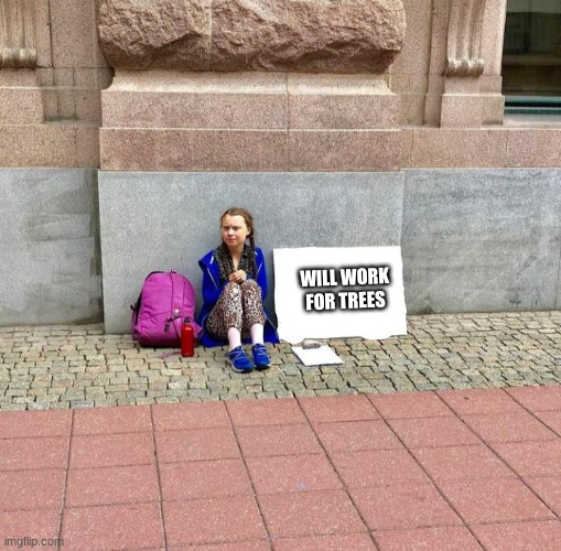 If Greta Thunberg was homeless | WILL WORK FOR TREES | image tagged in memes,greta thunberg,homeless,trees | made w/ Imgflip meme maker