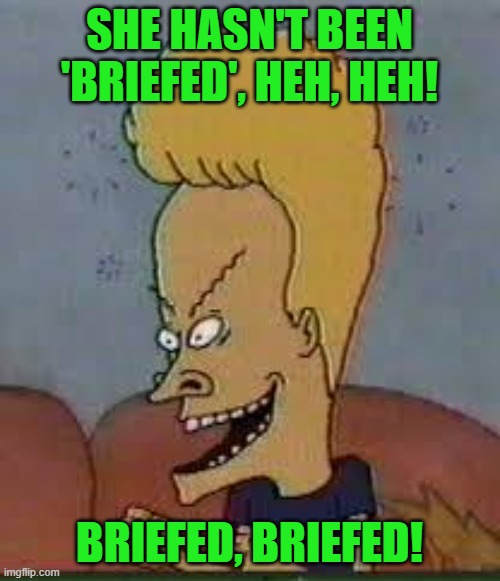 beavis | SHE HASN'T BEEN 'BRIEFED', HEH, HEH! BRIEFED, BRIEFED! | image tagged in beavis | made w/ Imgflip meme maker