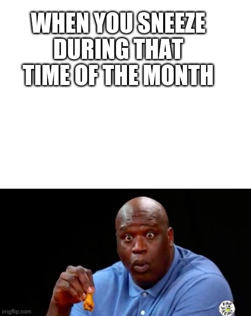 Only girls will get it | WHEN YOU SNEEZE DURING THAT TIME OF THE MONTH | image tagged in blank white template,surprised shaq,girls,boys vs girls,periods | made w/ Imgflip meme maker