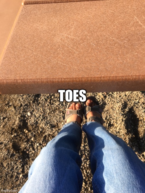 TOES | made w/ Imgflip meme maker