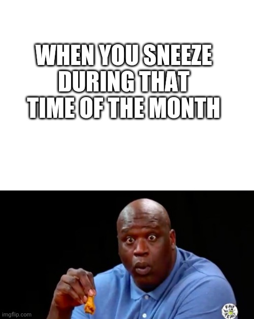 Only girls will get it | WHEN YOU SNEEZE DURING THAT TIME OF THE MONTH | image tagged in blank white template,surprised shaq,girls,boys vs girls,periods | made w/ Imgflip meme maker