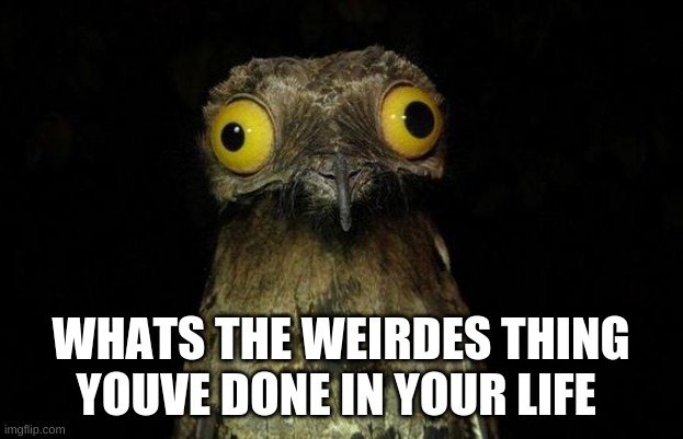 Weird Stuff I Do Potoo | WHATS THE WEIRDES THING YOUVE DONE IN YOUR LIFE | image tagged in memes,weird stuff i do potoo | made w/ Imgflip meme maker