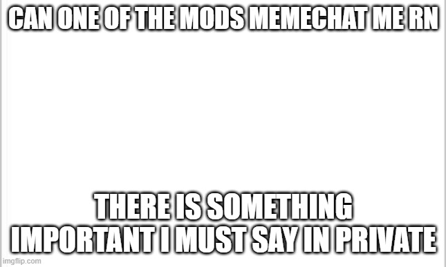 white background | CAN ONE OF THE MODS MEMECHAT ME RN; THERE IS SOMETHING IMPORTANT I MUST SAY IN PRIVATE | image tagged in white background | made w/ Imgflip meme maker