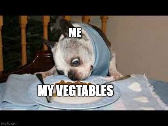 ME; MY VEGTABLES | image tagged in funny memes | made w/ Imgflip meme maker