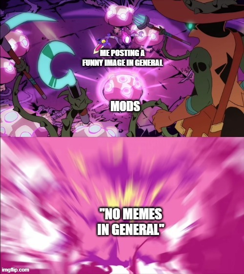 Every Discord Server | ME POSTING A FUNNY IMAGE IN GENERAL; MODS; "NO MEMES IN GENERAL" | image tagged in memes | made w/ Imgflip meme maker