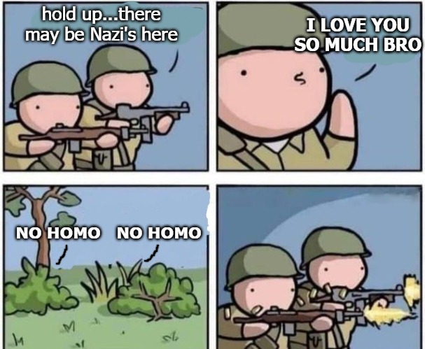 I LOVE YOU SO MUCH BRO; hold up...there may be Nazi's here; NO HOMO   NO HOMO | image tagged in homo | made w/ Imgflip meme maker