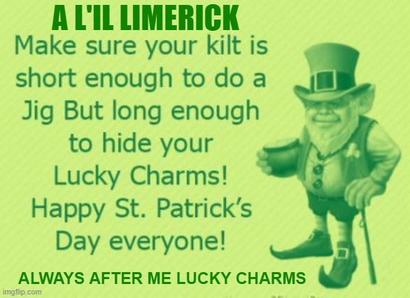 A L'IL LIMERICK; ALWAYS AFTER ME LUCKY CHARMS | made w/ Imgflip meme maker