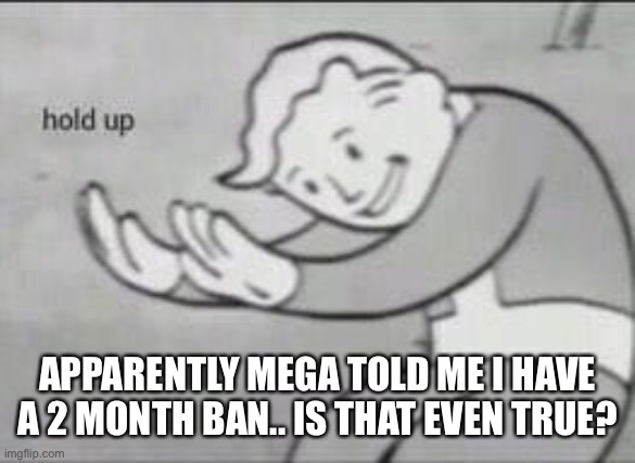 Fallout Hold Up | APPARENTLY MEGA TOLD ME I HAVE A 2 MONTH BAN.. IS THAT EVEN TRUE? | image tagged in fallout hold up | made w/ Imgflip meme maker