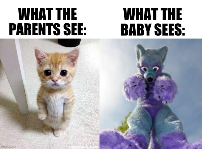 WHAT THE BABY SEES:; WHAT THE PARENTS SEE: | image tagged in memes,cute cat | made w/ Imgflip meme maker