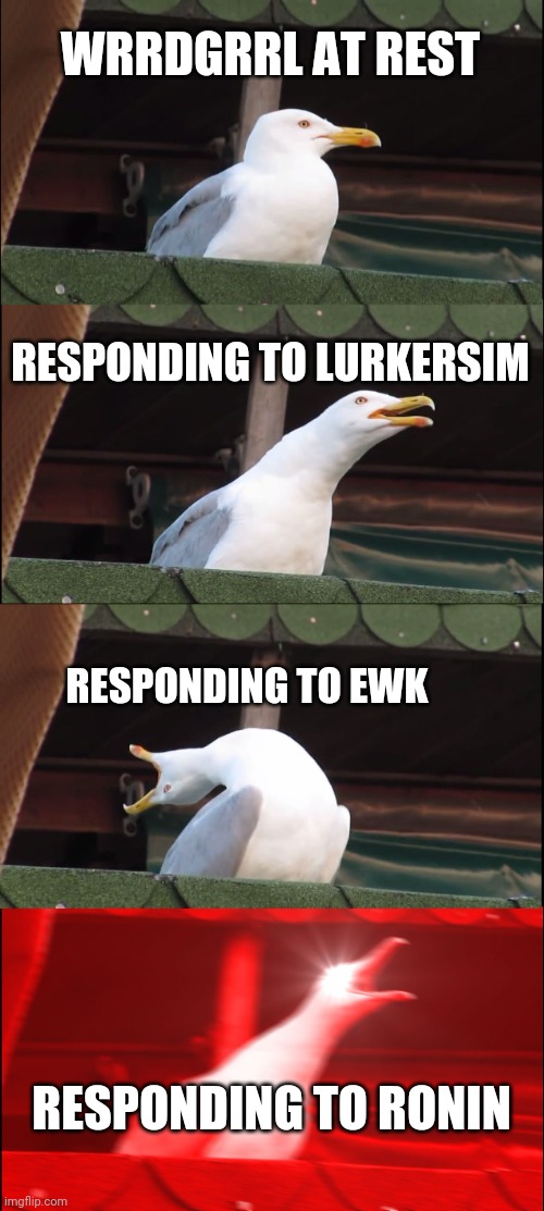 Inhaling Seagull Meme | WRRDGRRL AT REST; RESPONDING TO LURKERSIM; RESPONDING TO EWK; RESPONDING TO RONIN | image tagged in memes,inhaling seagull | made w/ Imgflip meme maker
