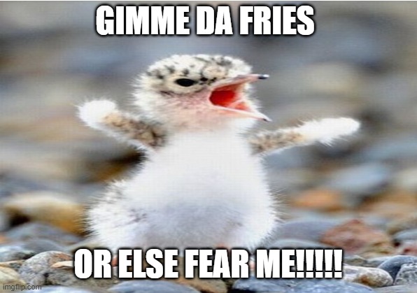 Funny chick | GIMME DA FRIES; OR ELSE FEAR ME!!!!! | image tagged in memes | made w/ Imgflip meme maker