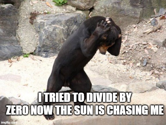 Help |  I TRIED TO DIVIDE BY ZERO NOW THE SUN IS CHASING ME | image tagged in bear,stressed bear,new meme | made w/ Imgflip meme maker