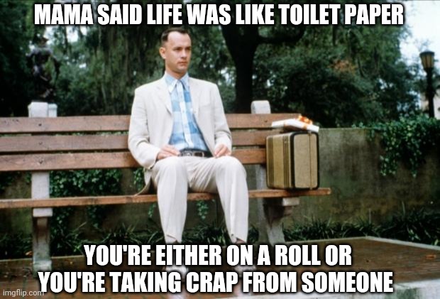 Mama's jems. |  MAMA SAID LIFE WAS LIKE TOILET PAPER; YOU'RE EITHER ON A ROLL OR YOU'RE TAKING CRAP FROM SOMEONE | image tagged in forrest gump | made w/ Imgflip meme maker