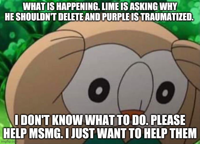 I DON'T KNOW WHAT TO DO | WHAT IS HAPPENING. LIME IS ASKING WHY HE SHOULDN'T DELETE AND PURPLE IS TRAUMATIZED. I DON'T KNOW WHAT TO DO. PLEASE HELP MSMG. I JUST WANT TO HELP THEM | image tagged in panicked rowlet | made w/ Imgflip meme maker