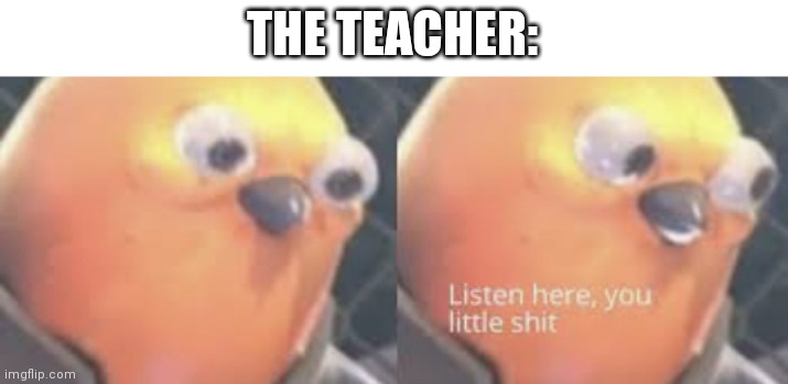 Listen here you little shit bird | THE TEACHER: | image tagged in listen here you little shit bird | made w/ Imgflip meme maker