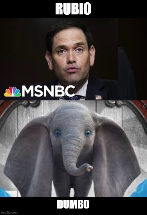 A Remarkable Family Resemblance | RUBIO; DUMBO | image tagged in marco rubio,dumbo | made w/ Imgflip meme maker