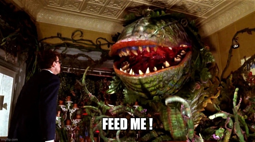 little shop of horrors | FEED ME ! | image tagged in little shop of horrors | made w/ Imgflip meme maker