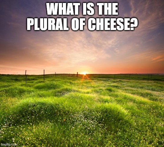 ;o)))) | WHAT IS THE PLURAL OF CHEESE? | image tagged in landscapemaymay | made w/ Imgflip meme maker