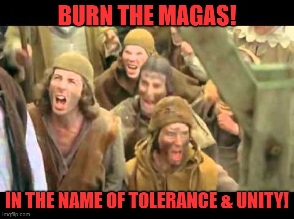 She's a witch! Burn her! Monty Python | BURN THE MAGAS! IN THE NAME OF TOLERANCE & UNITY! | image tagged in she's a witch burn her monty python | made w/ Imgflip meme maker