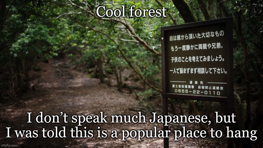 Don’t worry about packing a lunch | Cool forest; I don’t speak much Japanese, but I was told this is a popular place to hang | image tagged in aokigahara,suicide forest,haunted,dark humor | made w/ Imgflip meme maker